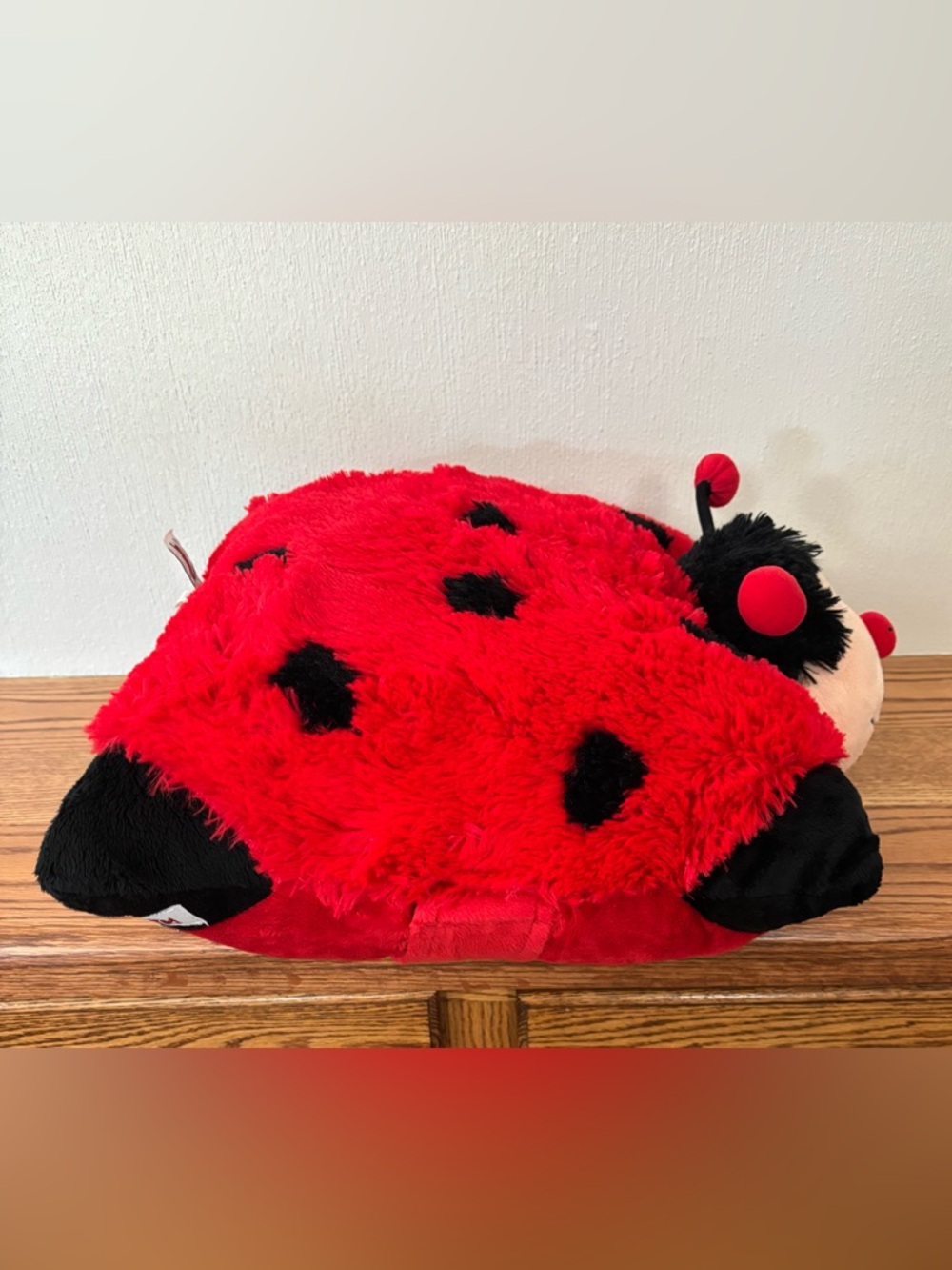 PILLOW PET Lady Bug 18 inch Comfy Pillow Plush 2010 Red Black Excellent - Picture 4 of 8